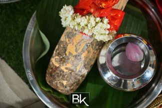 indianwedding_bestiankelly_Nalunggu_MichalThriya005