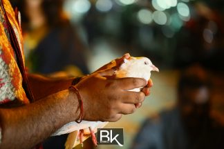 sri muniswarar temple perai penang, perai penang, penang, jalan baru penang, sri muniswarar, jalan sungai dua, rom, pendaftaran perkahwinan, registration of marriage, bestiankelly, professional wedding photographer, indian wedding photographer, famous wedding photographer, top wedding photographer, exchanging wedding ring, exchanging engagement ring, family photo, group photo, having fun, casual candids, couple portraits, releasing pigeon, white pigeon , officially husband and wife, cake cutting